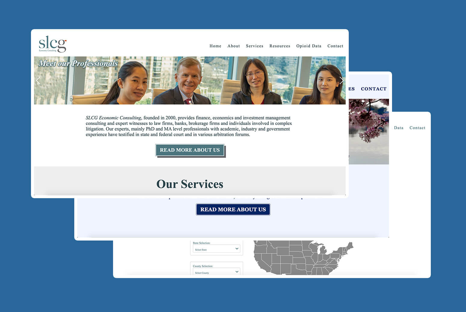 C&EN Website Project